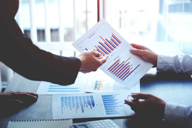 Project Feasibility and Investment Advisory
